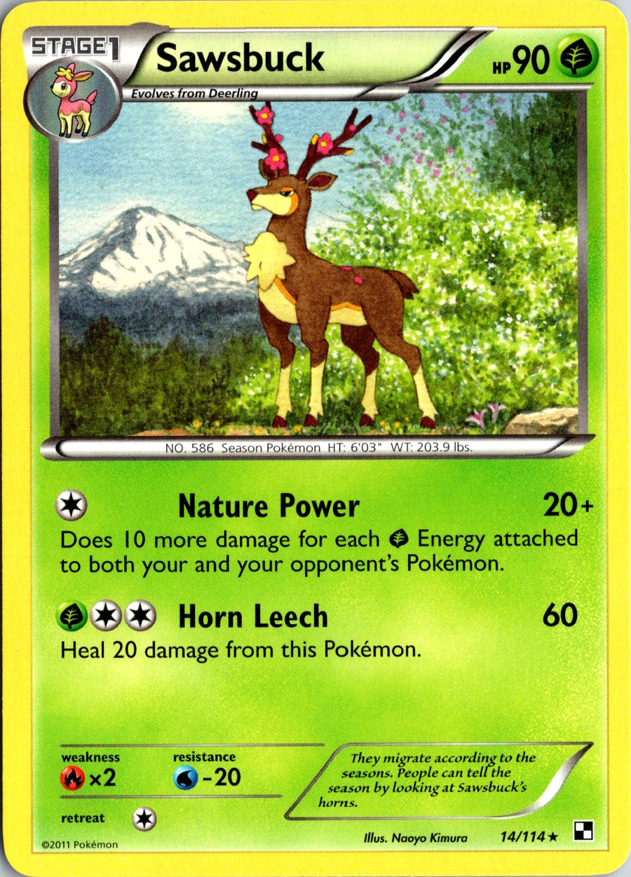 Pokémon Black & White: Sawsbuck 14/114 - NM front
