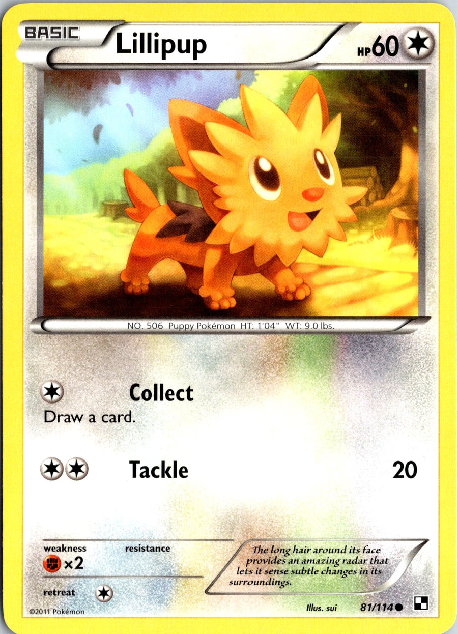 Pokémon Black & White: Lillipup 81/114 - NM front