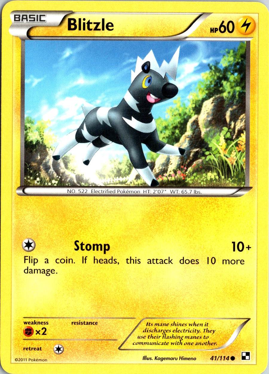 Pokémon Black & White: Blitzle 41/114 - NM front