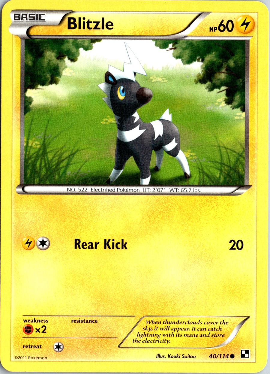 Pokémon Black & White: Blitzle 40/114 - NM front