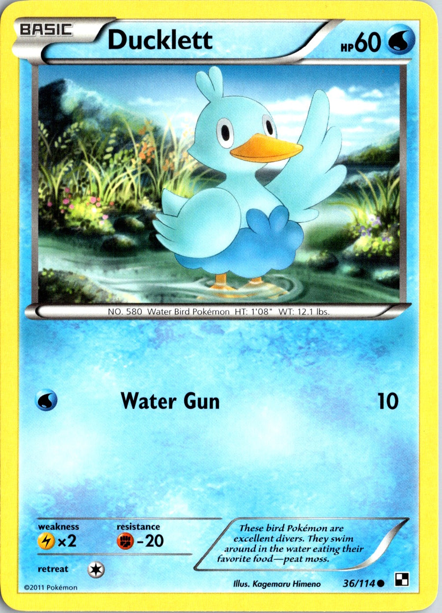 Pokémon Black & White: Ducklett 36/114 - NM front