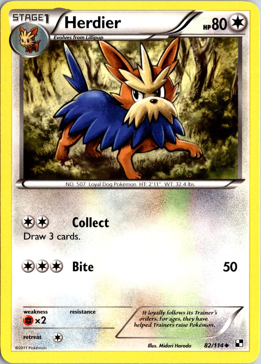 Pokémon Black & White: Herdier 82/114 - NM front