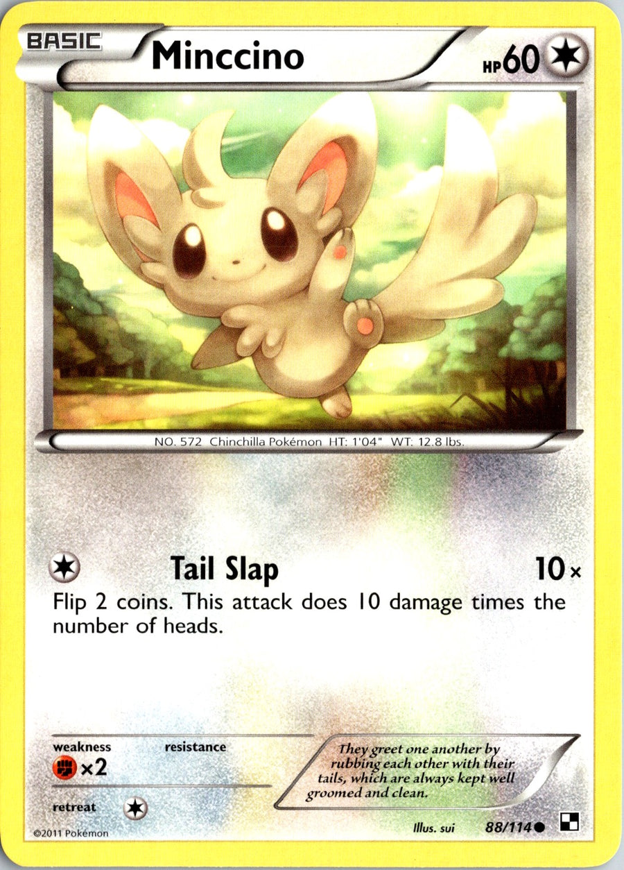 Pokémon Black & White: Minccino 88/114 - NM front