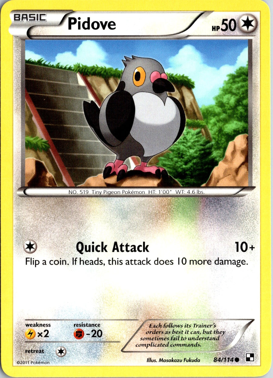 Pokémon Black & White: Pidove 84/114 - NM front