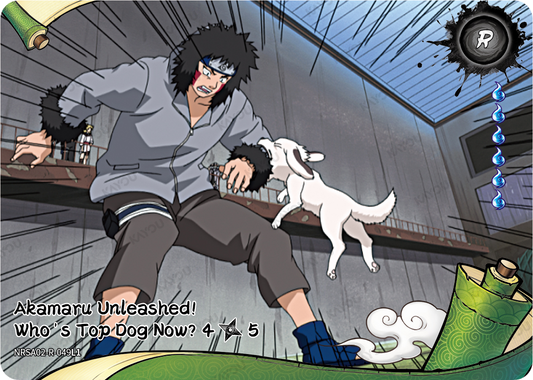 NRSA02-R-049L1 · Akamaru Unleashed! Who's Top Dog Now?
4/5 · R