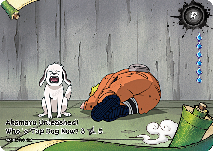 NRSA02-R-048L1 · Akamaru Unleashed! Who's Top Dog Now?
3/5 · R