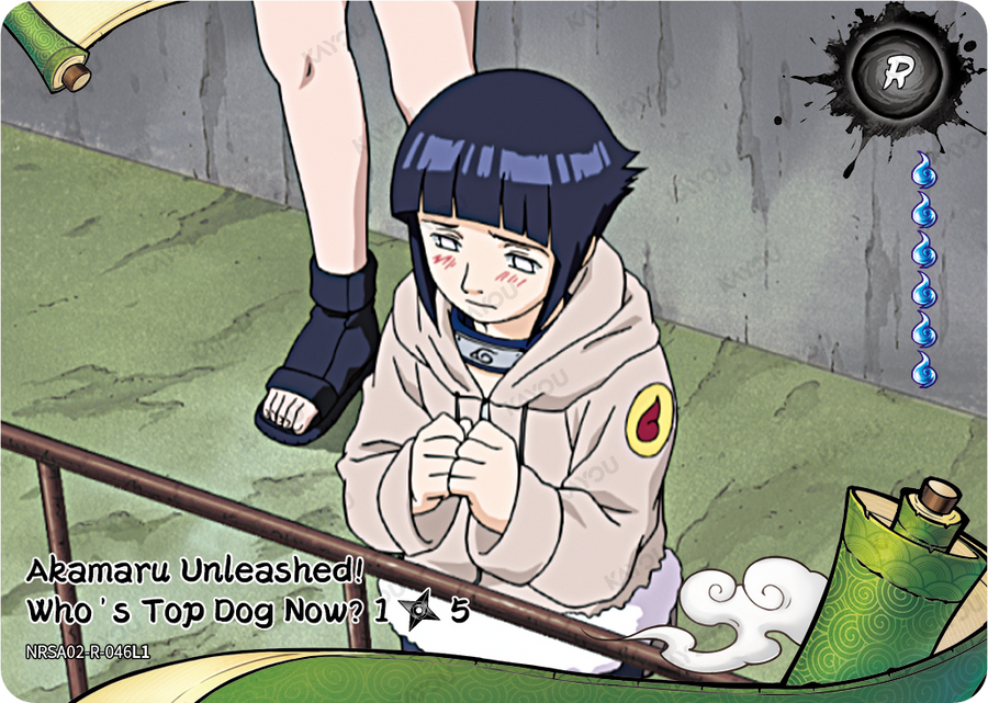 NRSA02-R-046L1 · Akamaru Unleashed! Who's Top Dog Now?
1/5 · R
