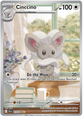 153 Cinccino