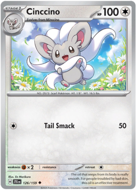 126 Cinccino