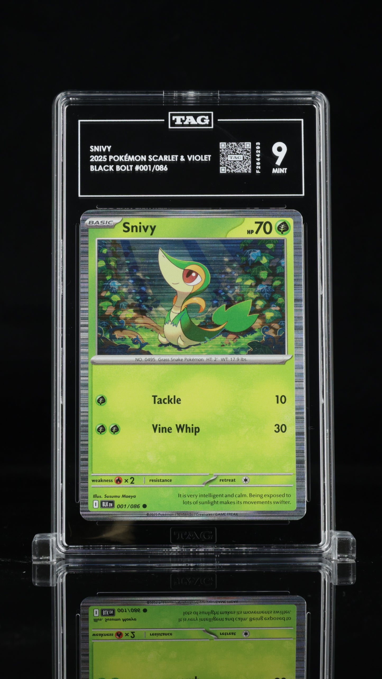 2025 Pokémon • Black Bolt Unova Poster Collection Promo • Snivy • #001 • Holo • TAG 9 Mint • F2644293
