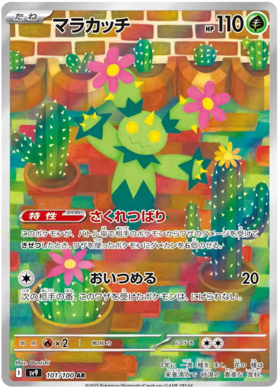 101 Maractus