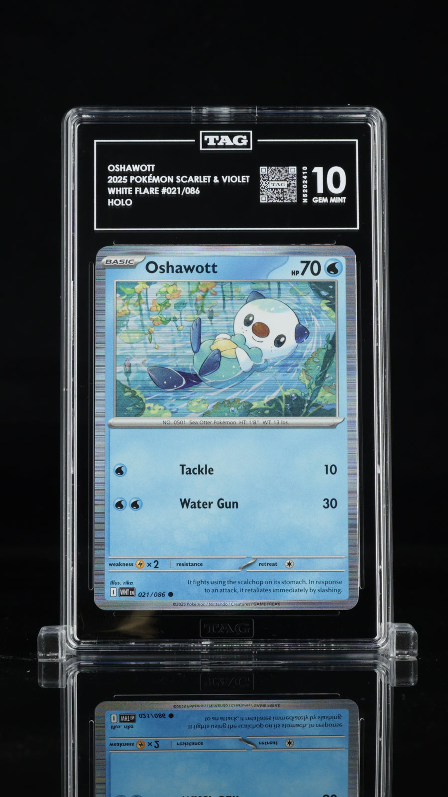 2025 Pokémon • White Flare Unova Poster Collection Promo • Oshawott • #021 • Holo • TAG 10 Gem Mint • N5202410 • POP 3 (1st Highest)