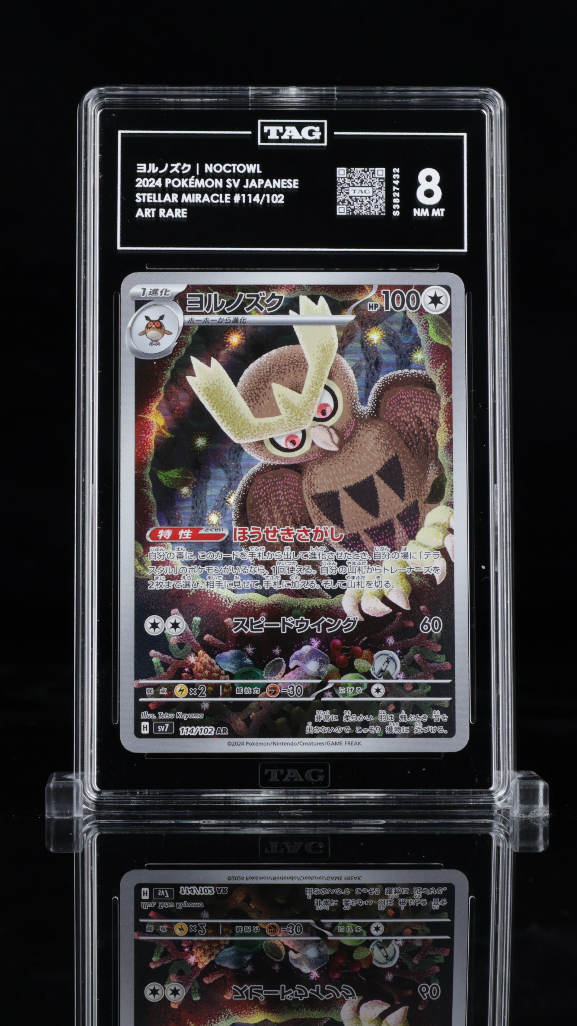 2024 Pokémon • Stellar Miracle • ヨルノズク | Noctowl • #114 Art