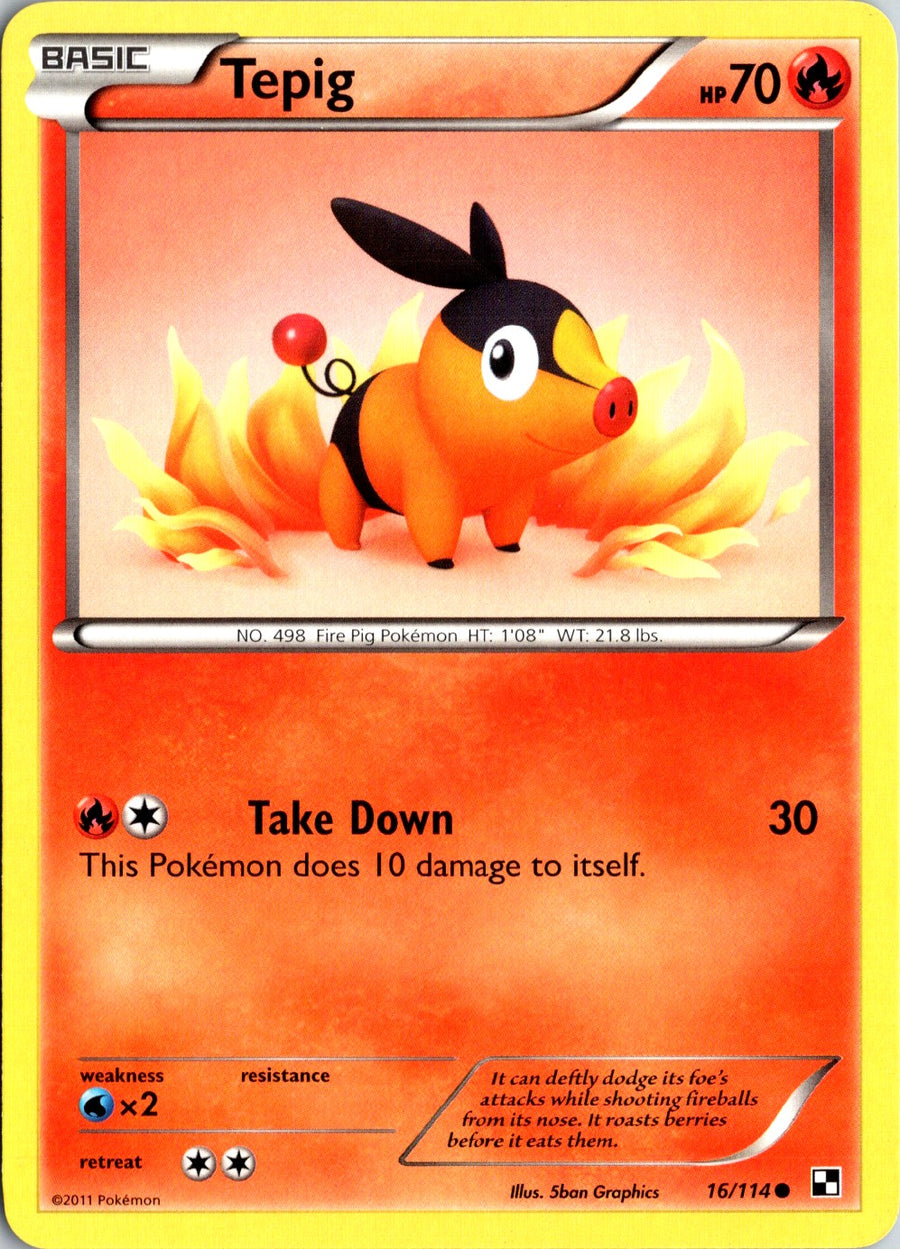 Pokémon Black & White: Tepig 16/114 - NM front