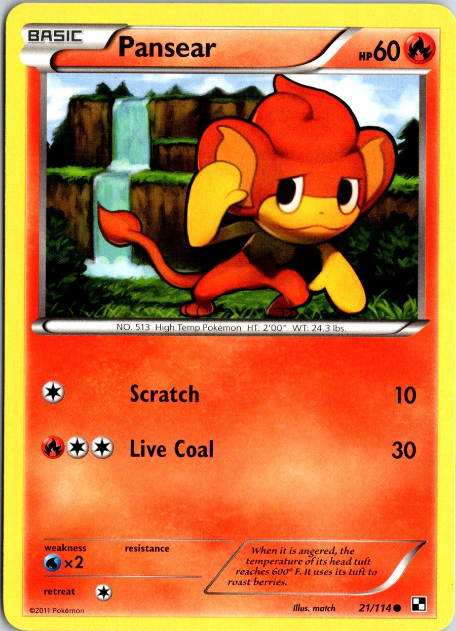 Pokémon Black & White: Pansear 21/114 - NM front
