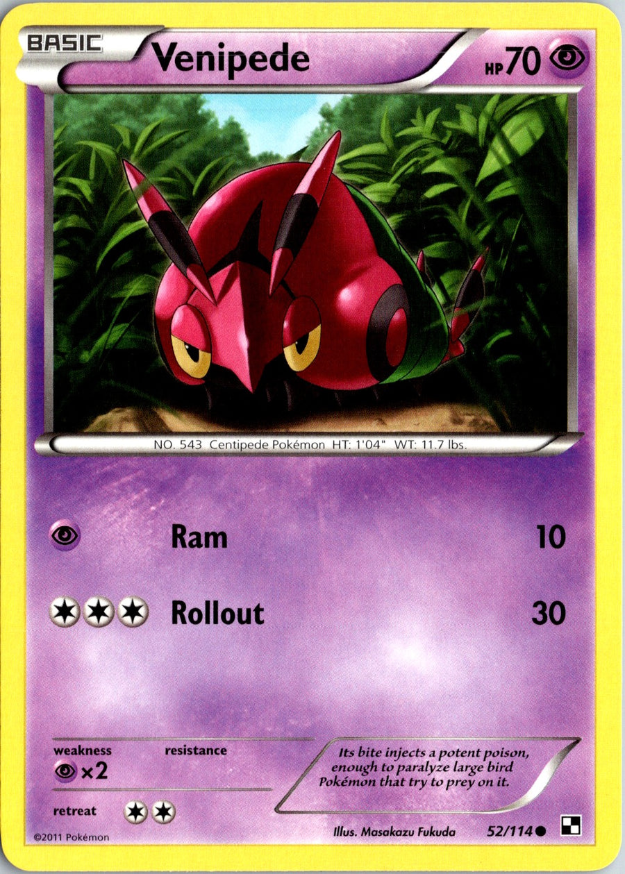 Pokémon Black & White: Venipede 52/114 - NM front